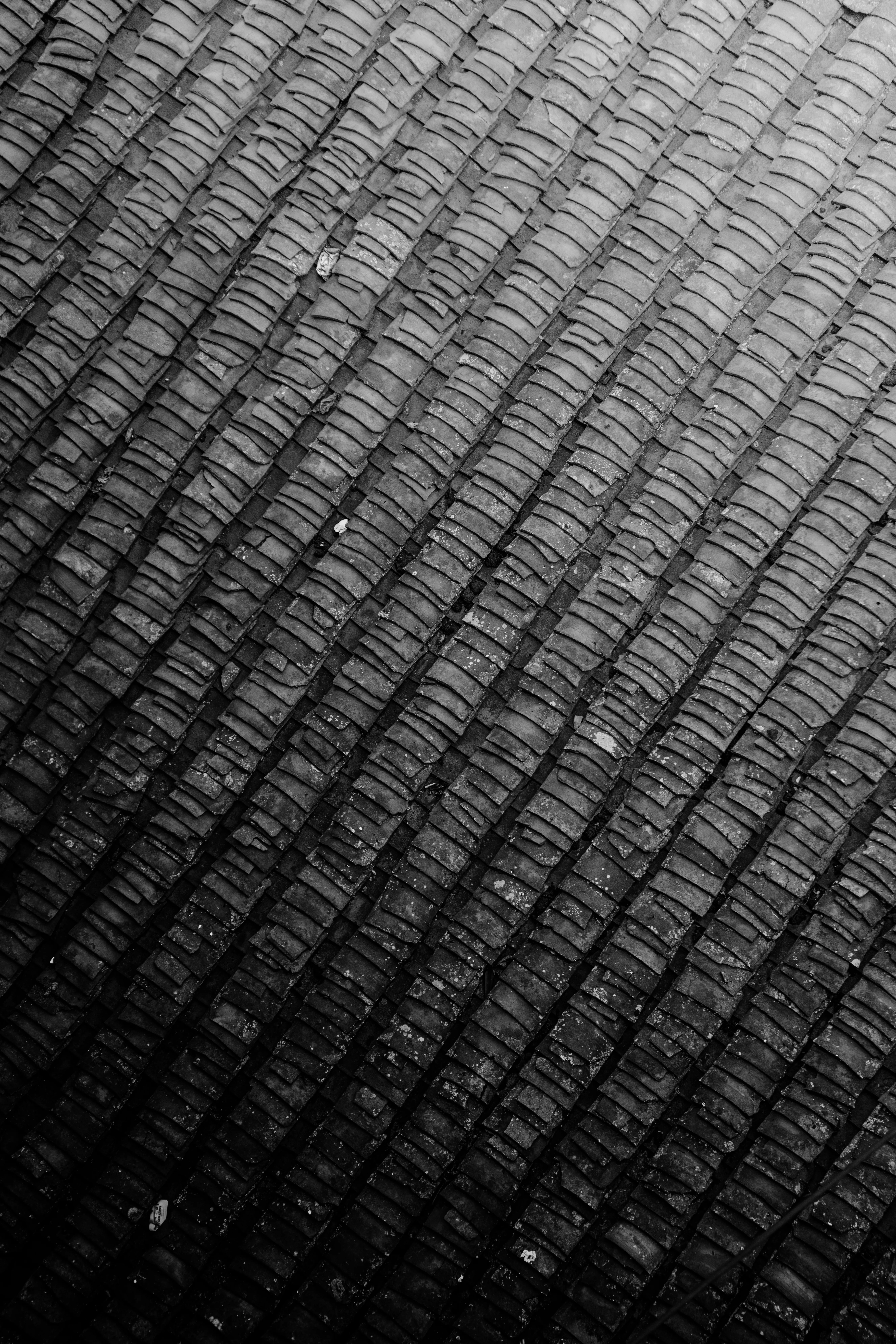 Photographyimage.