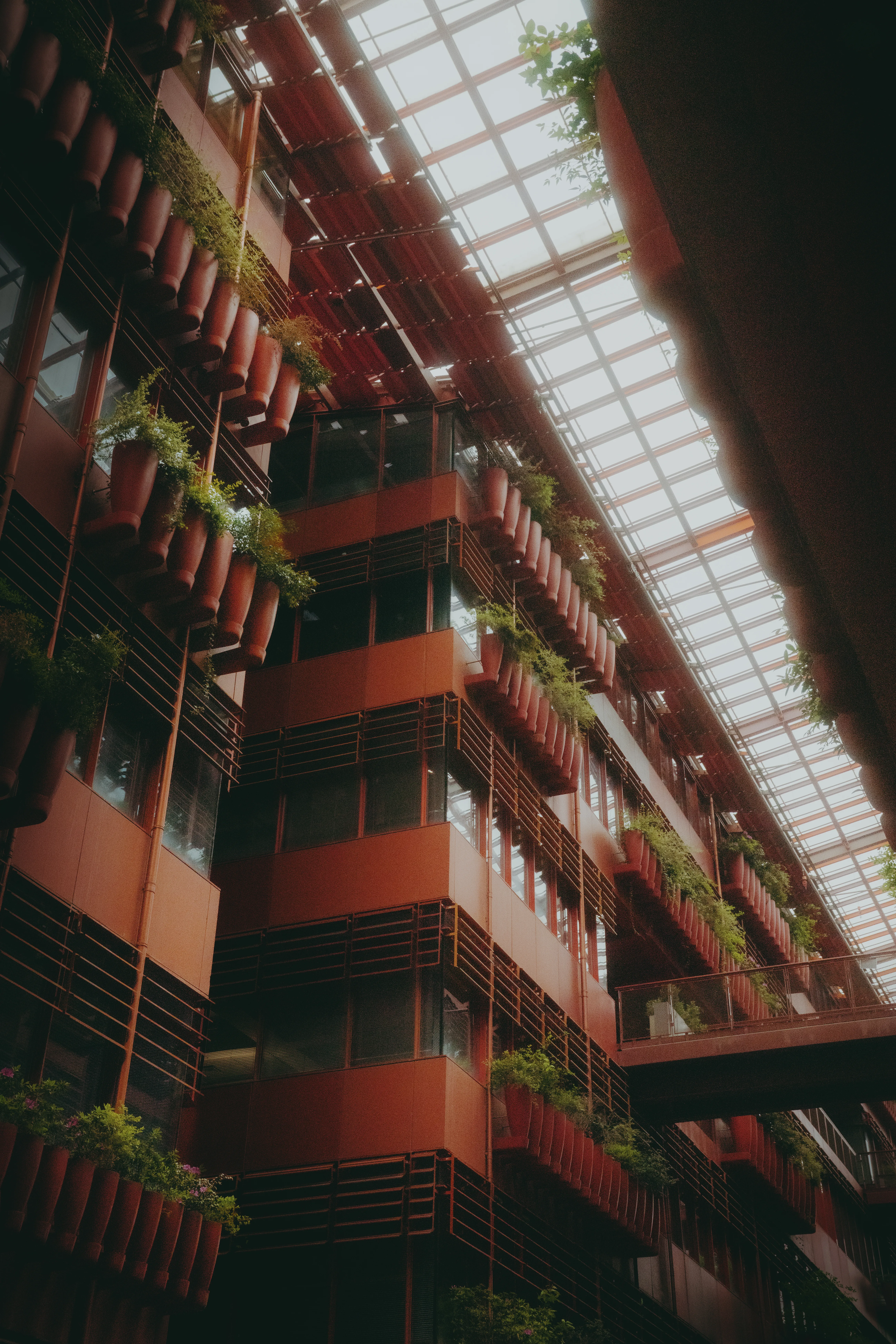 Photographyimage.