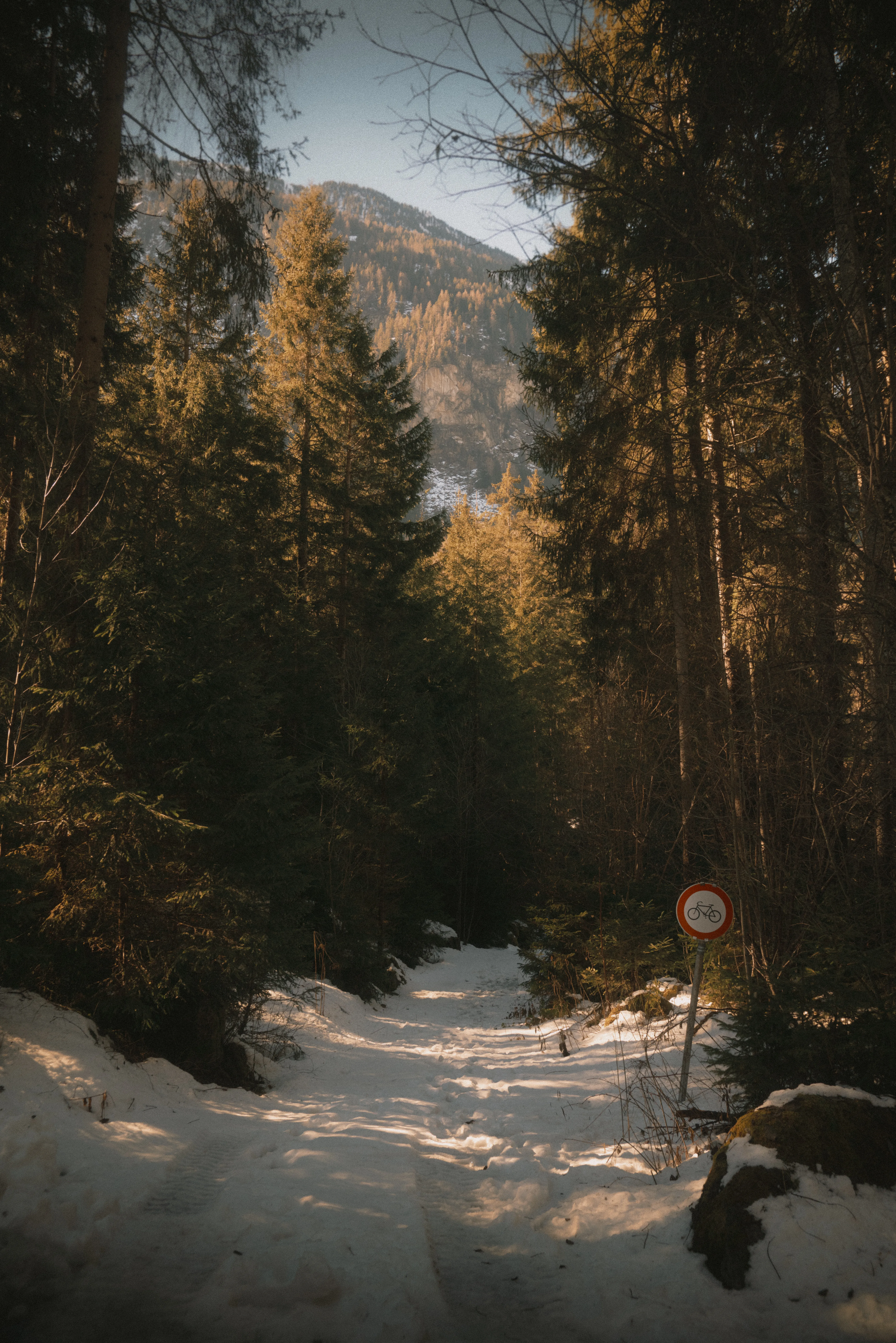 Photographyimage.