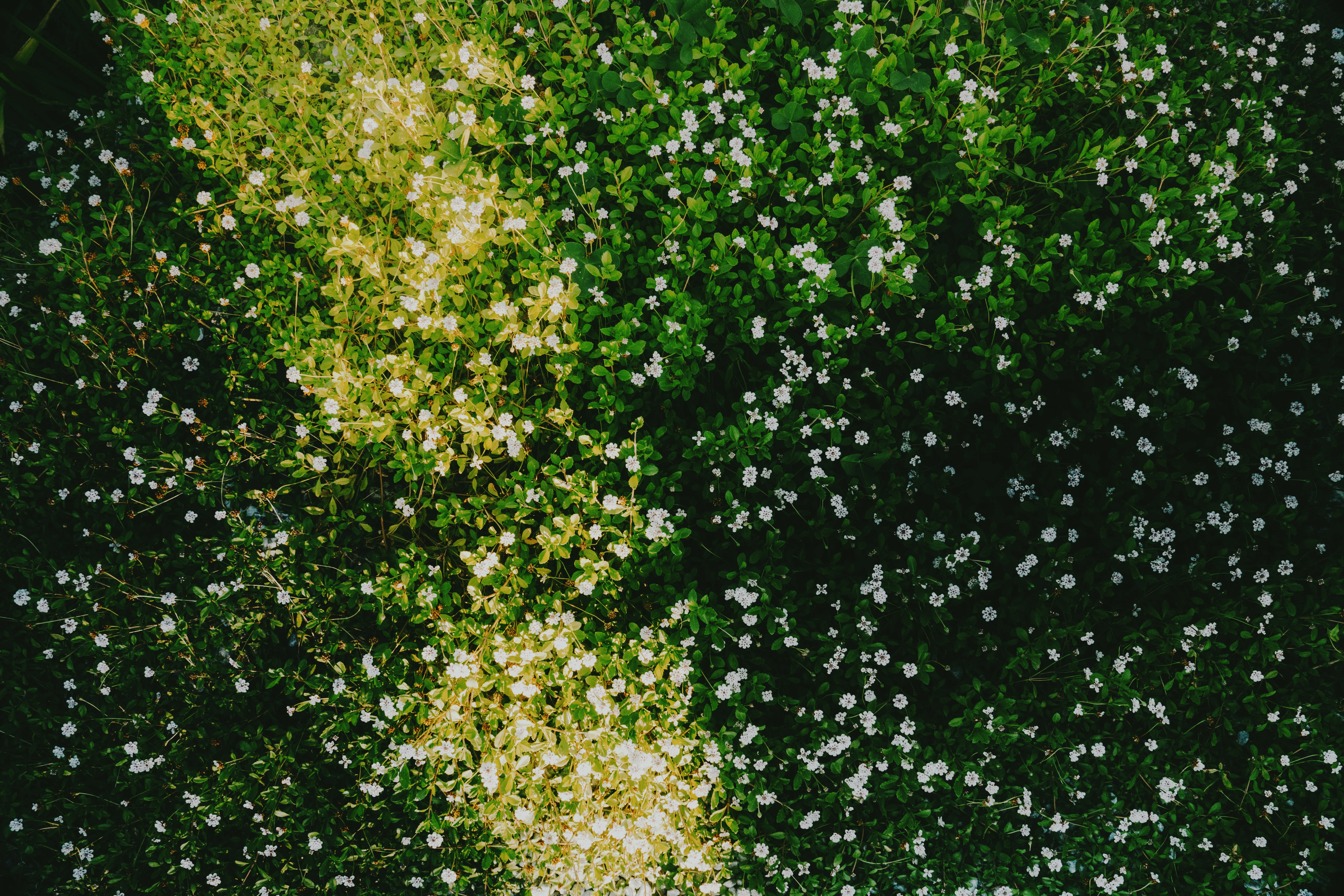 Photographyimage.