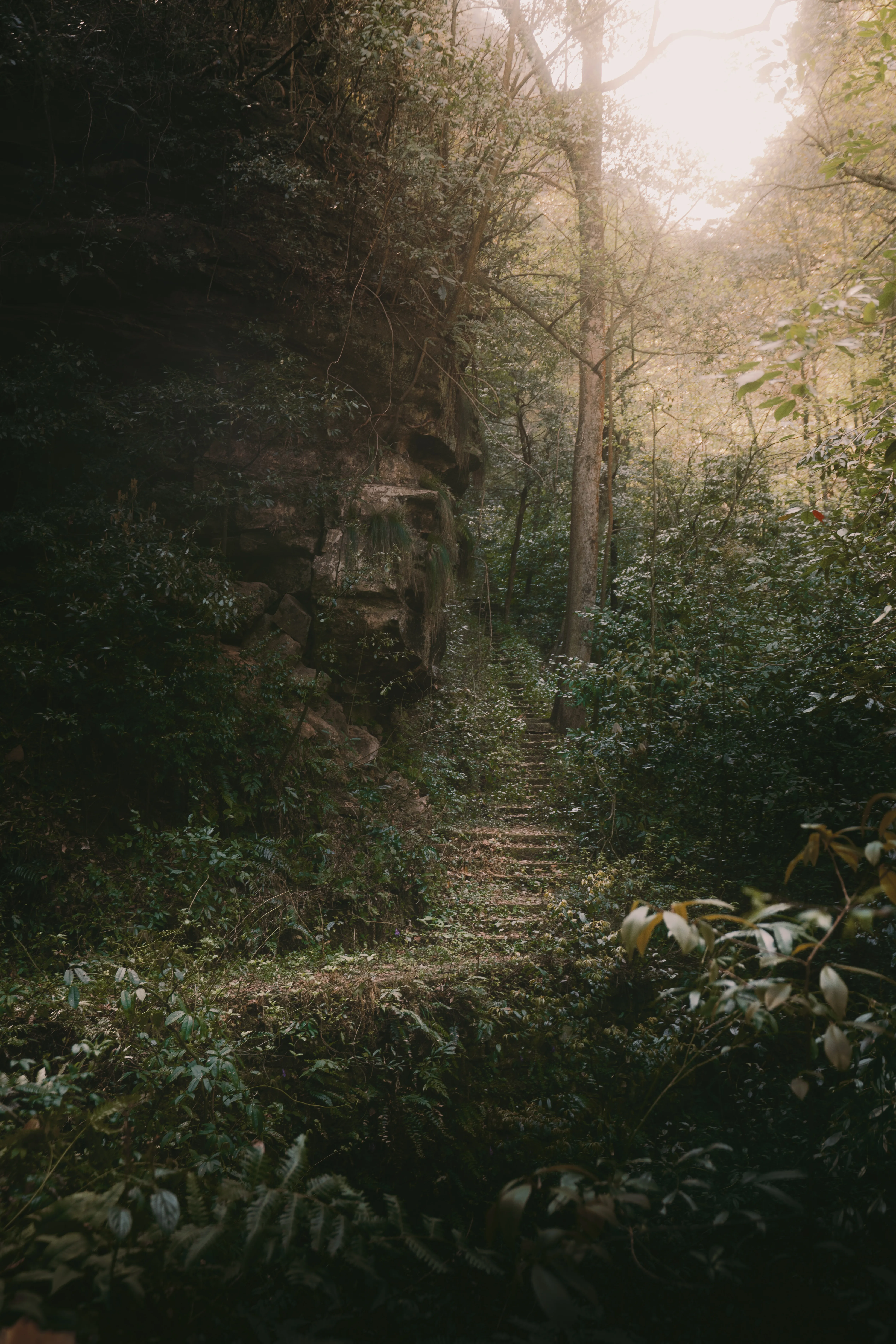 Photographyimage.