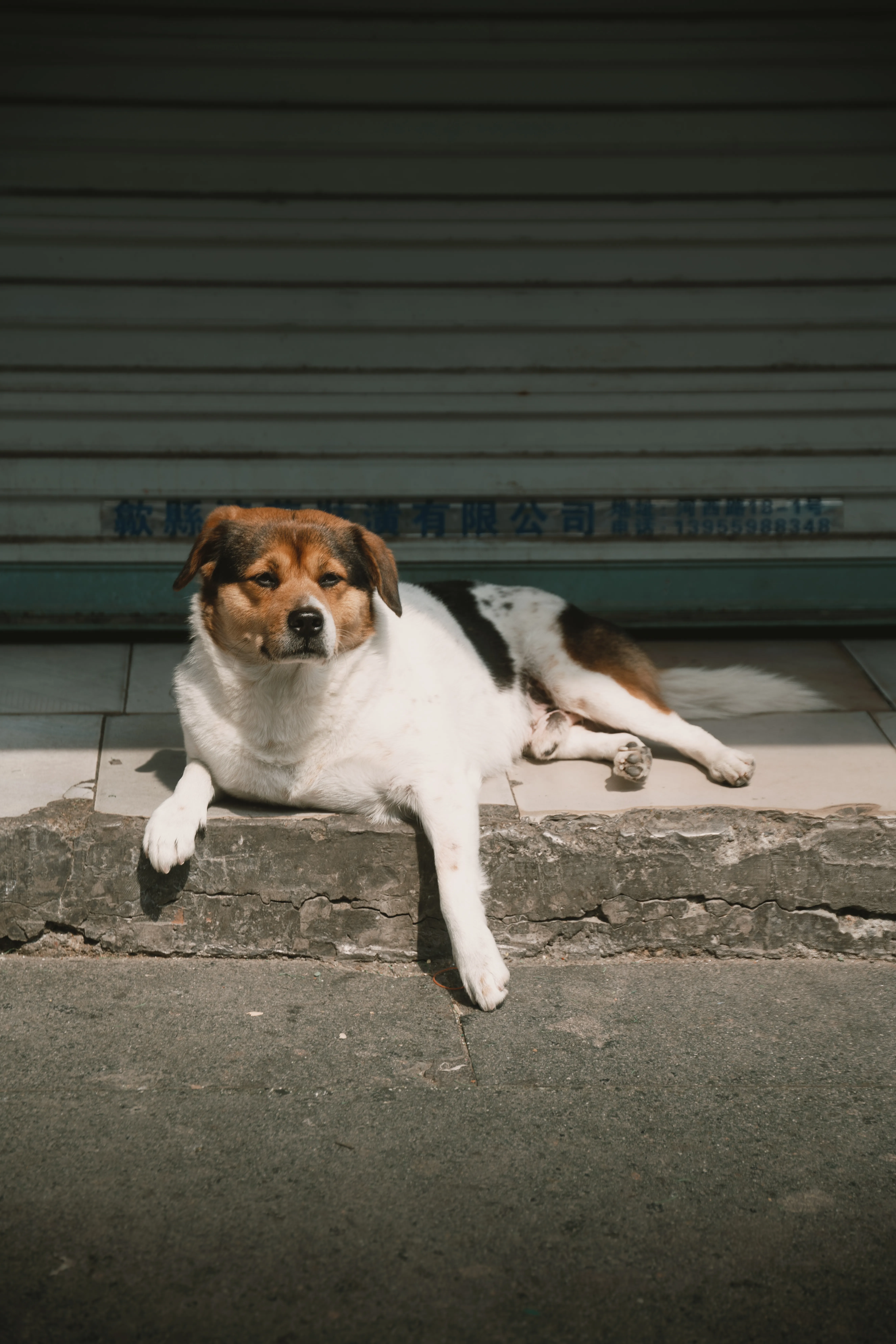 Photographyimage.
